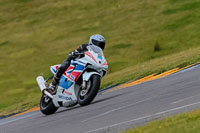 PJ-Motorsport-2019;anglesey-no-limits-trackday;anglesey-photographs;anglesey-trackday-photographs;enduro-digital-images;event-digital-images;eventdigitalimages;no-limits-trackdays;peter-wileman-photography;racing-digital-images;trac-mon;trackday-digital-images;trackday-photos;ty-croes